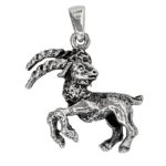 Zodiac sign Pendant Capricorn