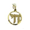 Judaica Pendant symbol luck j2116dz